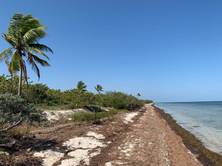 Terreno en Venta frente al mar en la Preciosa Playa de Santa Clara Yucatan 